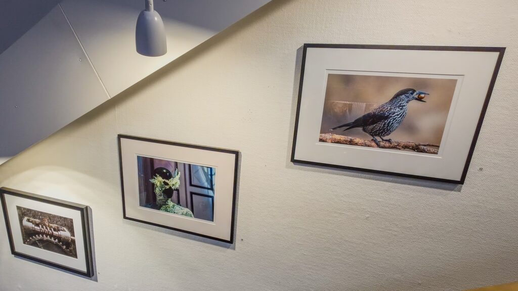 Foto Jan Röman